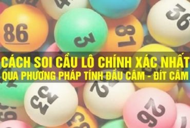 Thông tin và phương pháp soi đề từ đầu lô câm hay về